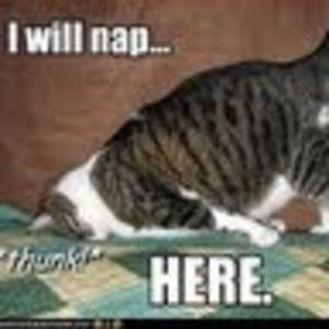 Meet your Posher, Scott